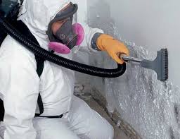 Best Air Quality Testing for Mold Spores  in USA